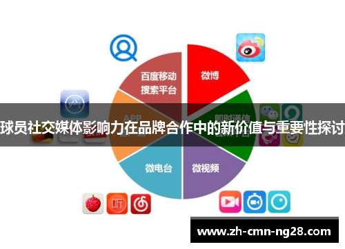 球员社交媒体影响力在品牌合作中的新价值与重要性探讨